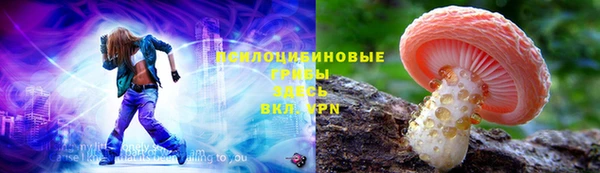 МДПВ Нязепетровск