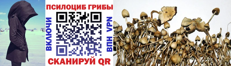 Галлюциногенные грибы мицелий  Малаховка 