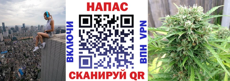 цены наркотик  Малаховка  Канабис гибрид 
